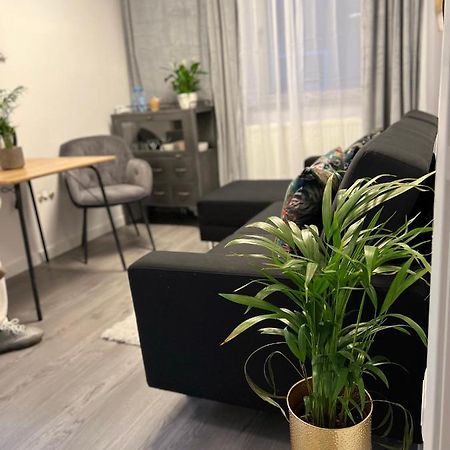 בראשוב Musai Apartment מראה חיצוני תמונה