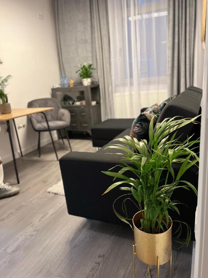 בראשוב Musai Apartment מראה חיצוני תמונה